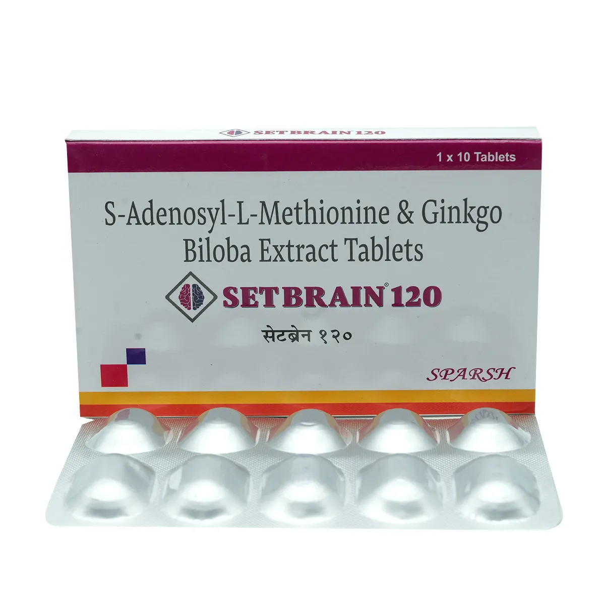 Setbrain 120 Tablet with S-Adenosyl-L-Methionine & Ginkgo Biloba Extract